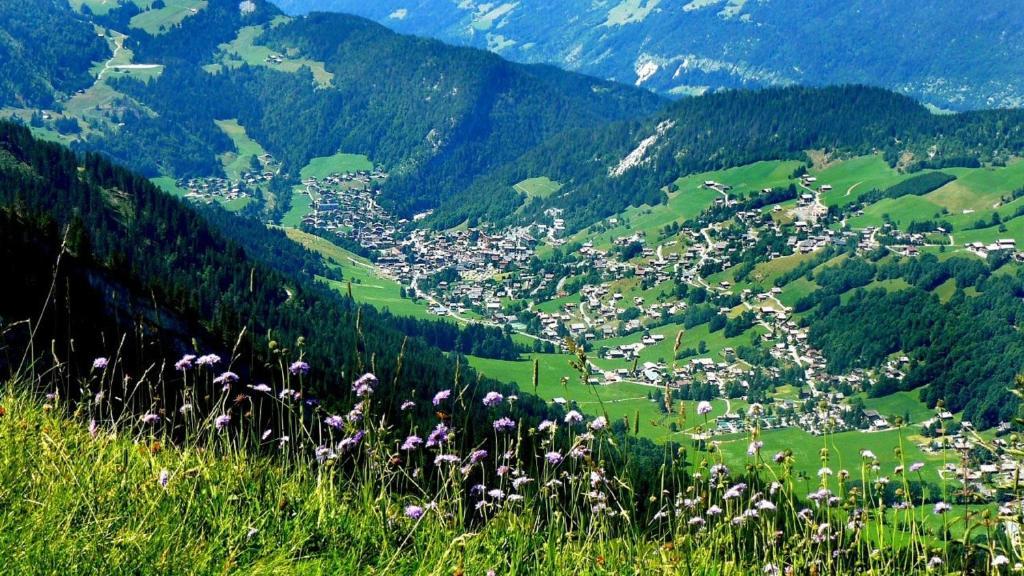 Residence - Les Grandes Alpes Ла-Клюсаз Экстерьер фото