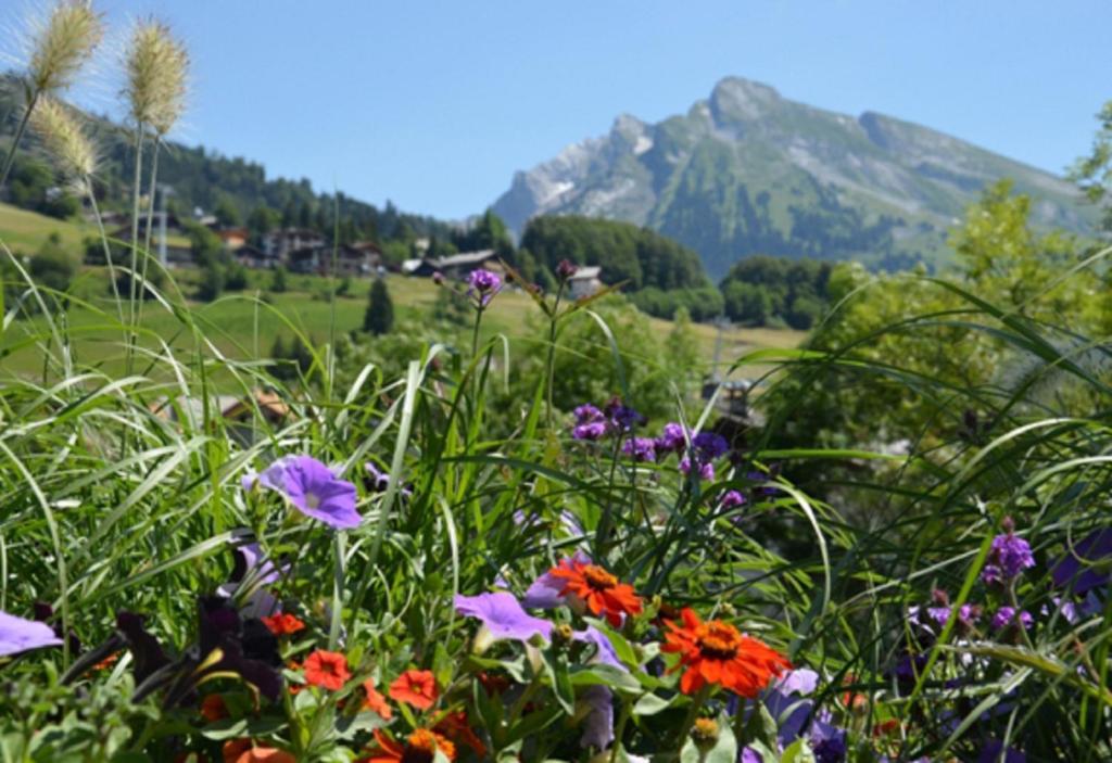 Residence - Les Grandes Alpes Ла-Клюсаз Номер фото
